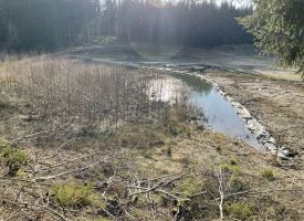 Bauzeitliches Ersatzlaichgewässer