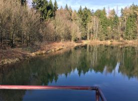 Damm vor Instandsetzung